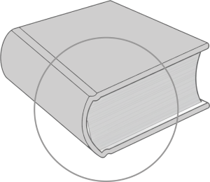 leather effect zoom color image