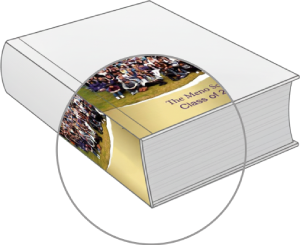 softback zoom color image