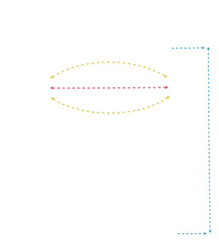 Chest Measurements Overlay