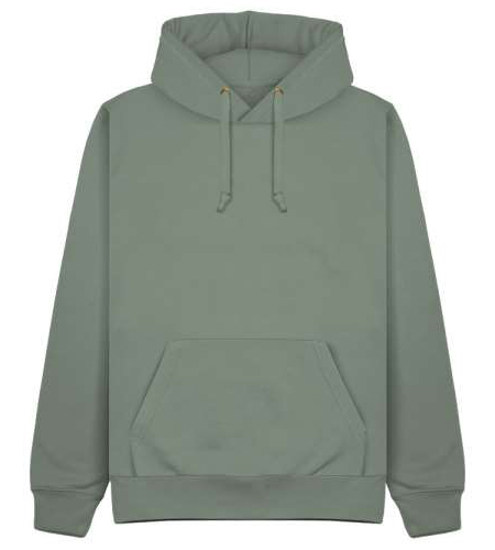 Adult Sage Hoodie